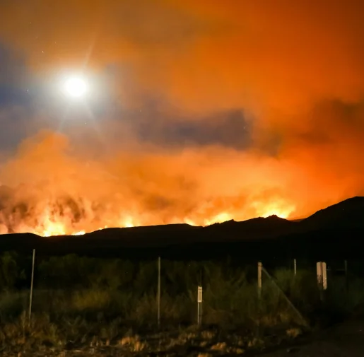 Wildfire-Guardian-Intelligence