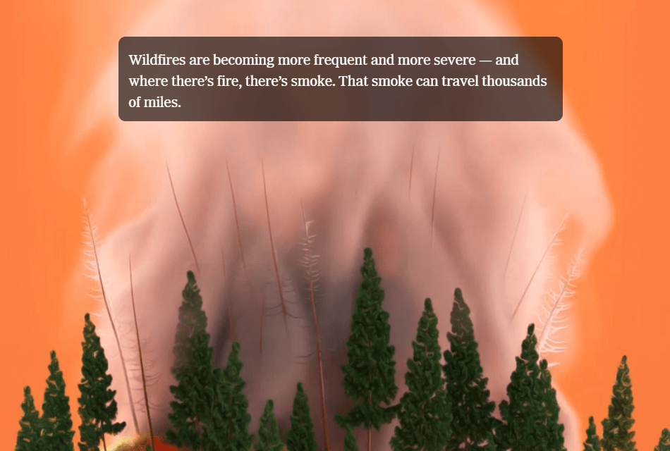 Wildfire smoke